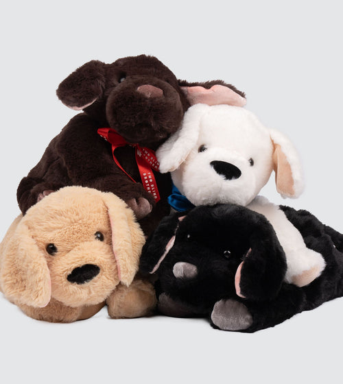 ORIGINAL CLASS BUNDLE