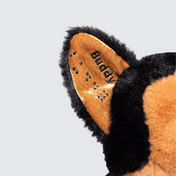 BUDDY – Two Blind Brothers