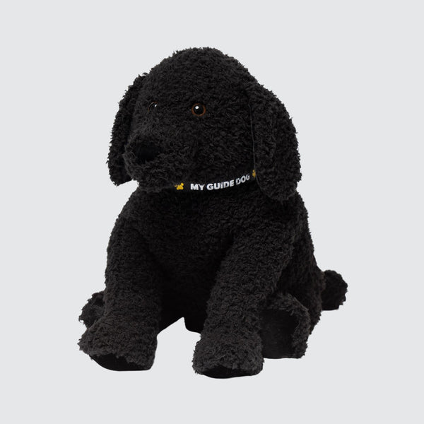 SHADOW – Two Blind Brothers