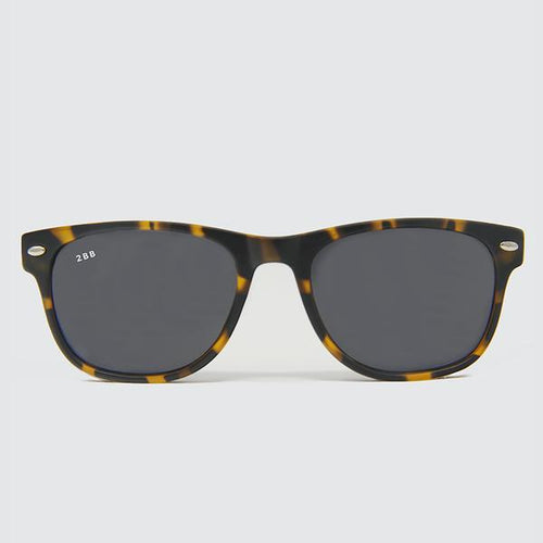 Cavalier Replacement in Tortoise
