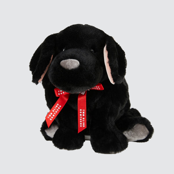 Two Blind Brothers - Guide Dog BEACON Black-dog-stuffed-animal-sitting