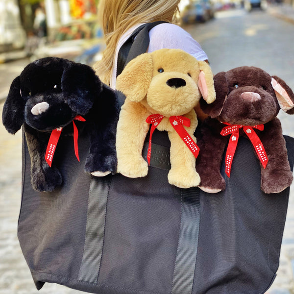 Two Blind Brothers - Guide Dog BEACON Blonde-woman-holding-black-tote-bag-with-yellow,-black,-and-brown-dog-stuffed-animals-inside
