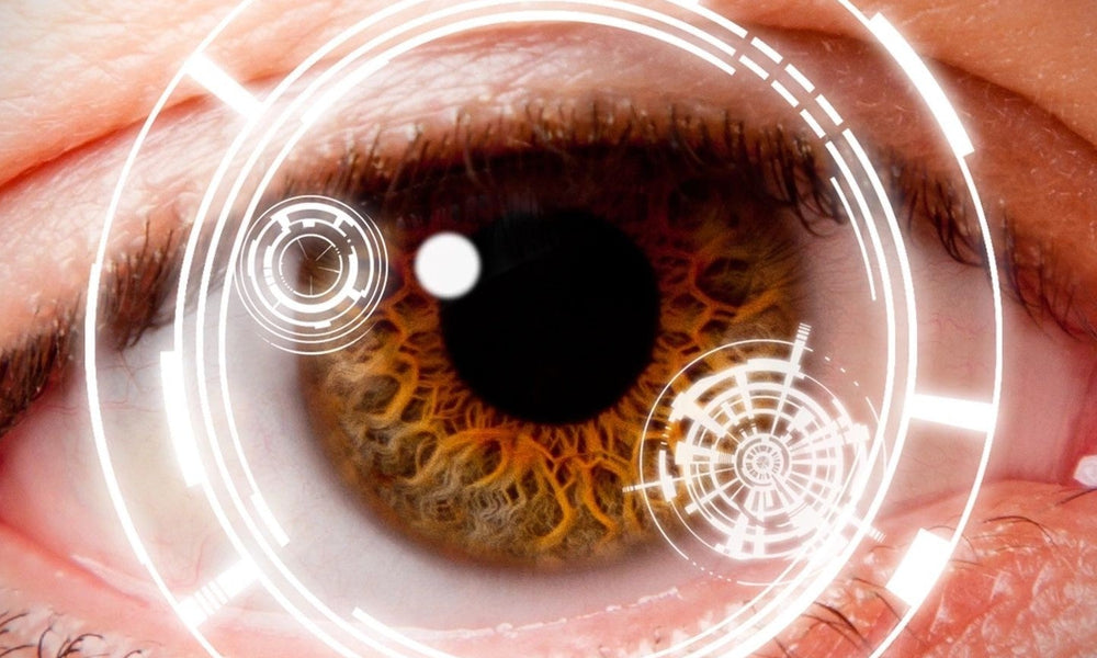 SPARK THERAPEUTICS AND LUXTURNA COULD MAKE HISTORY TODAY! - Two Blind Brothers