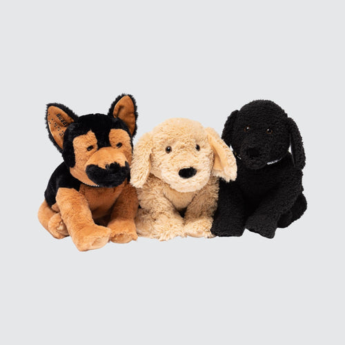 NEW CLASS BUNDLE in Default Title