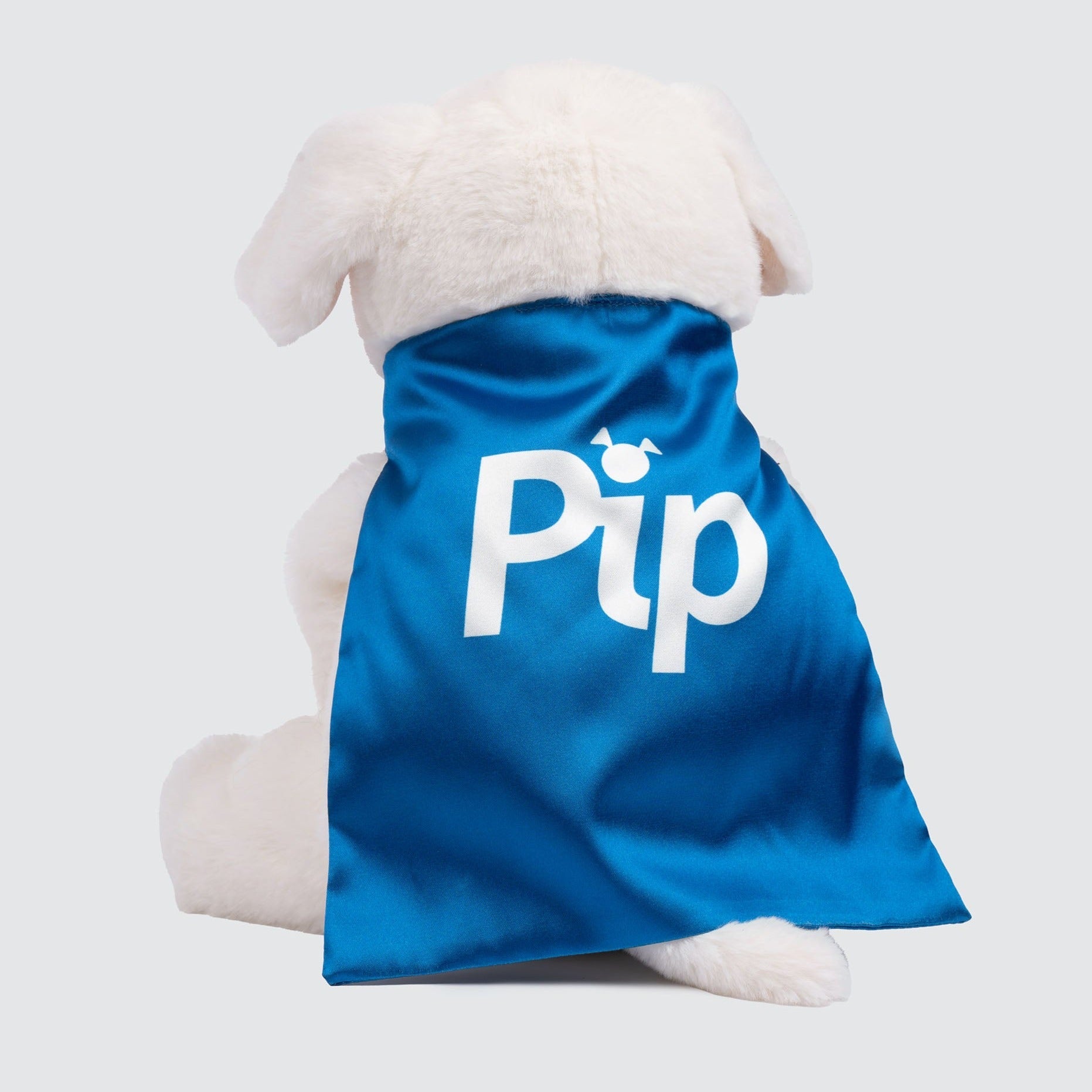 Two Blind Brothers - PIP AND FRIENDS PIP Pip-the-Guide-Dog-back-facing-view.-White-Labrador-plush-with-a-blue-cape-that-reads-"Pip".