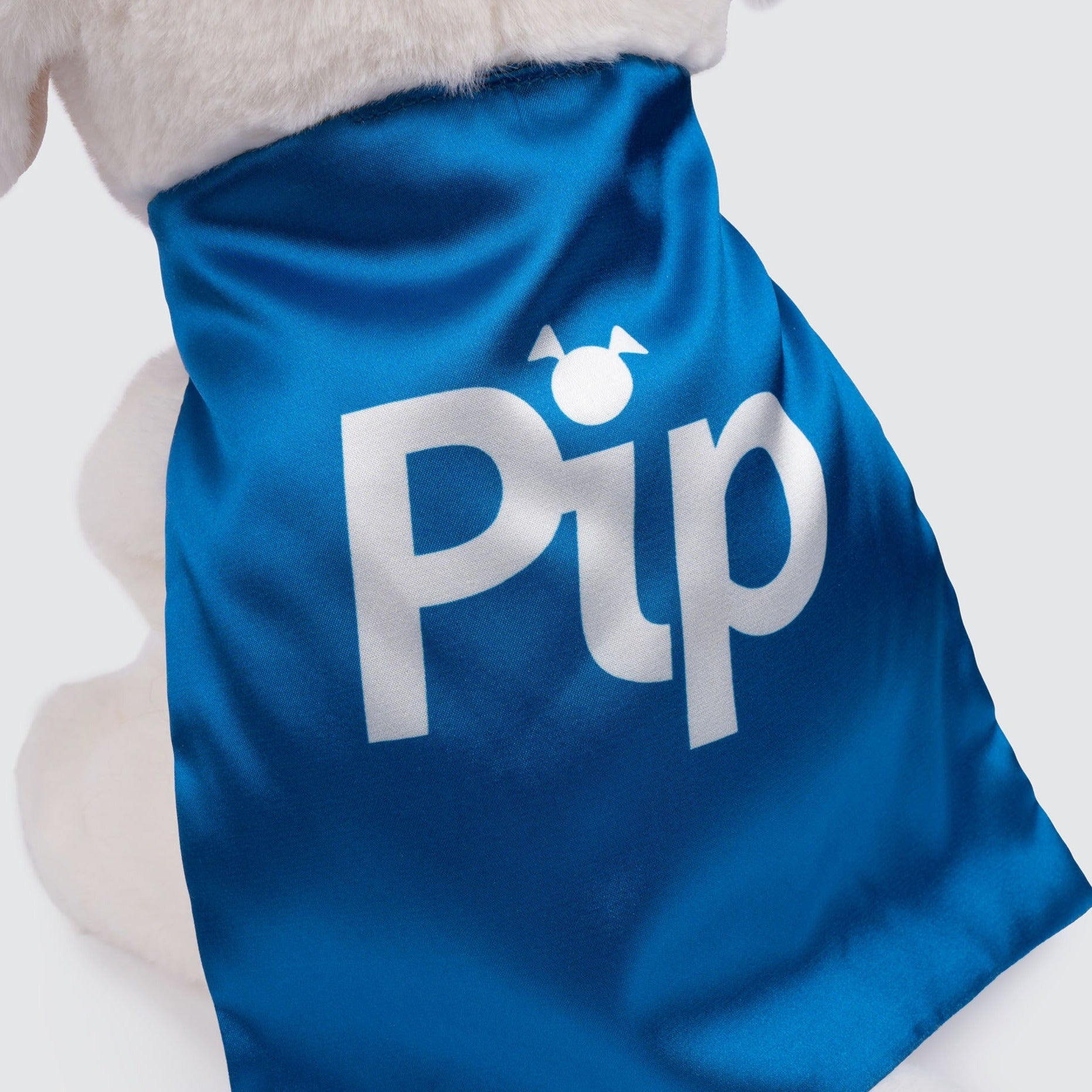 Two Blind Brothers - PIP AND FRIENDS PIP Pip-the-Guide-Dog-close-up-of-the-cape.-White-Labrador-plush-with-a-blue-cape-that-reads-"Pip"-and-"Pip"-written-in-text-and-braille-on-the-ear.