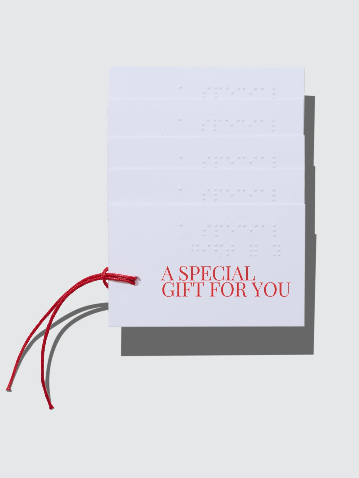 Two Blind Brothers -  Braille Gift Tag all