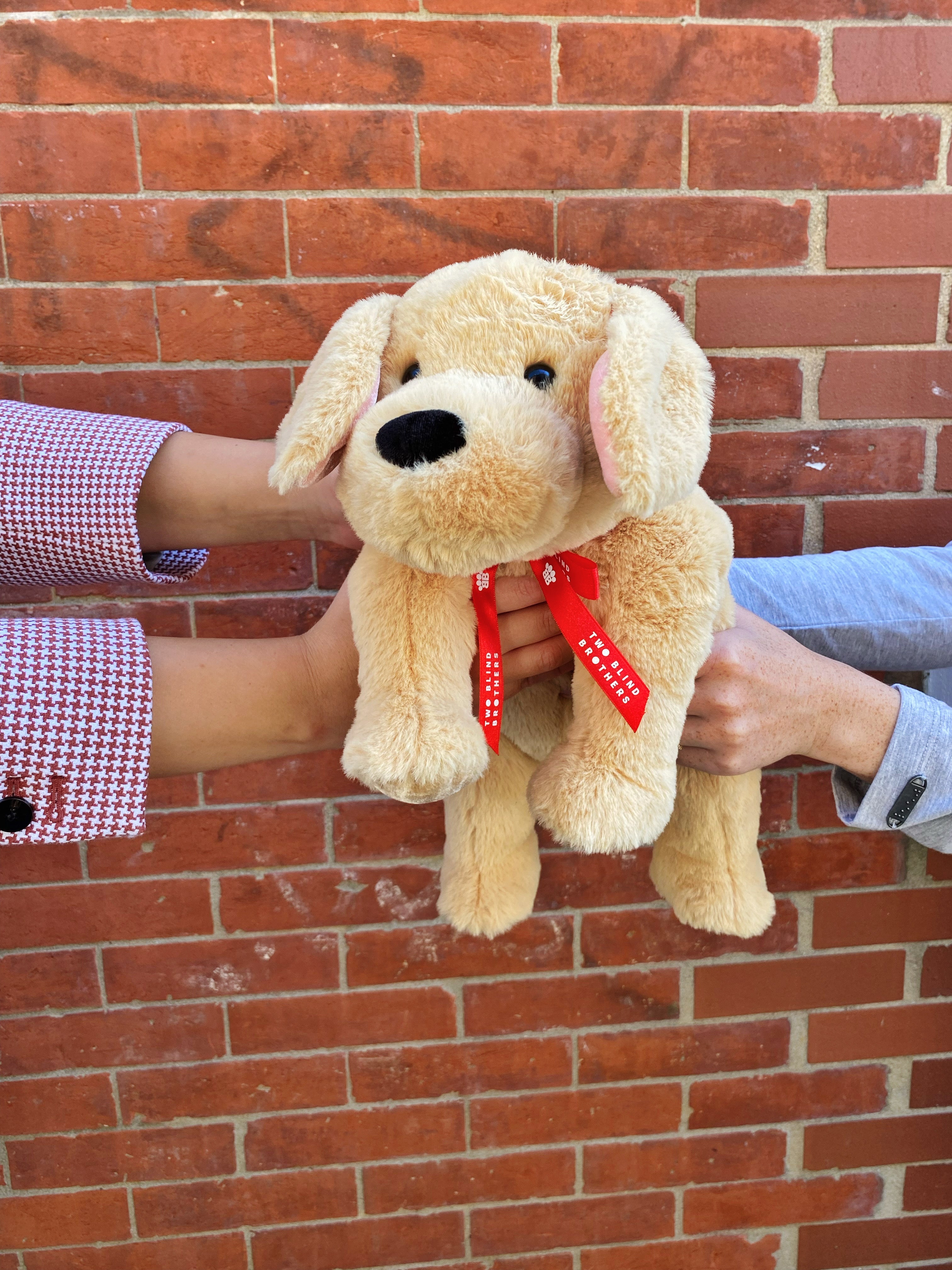 Two Blind Brothers - Guide Dog GUIDER Two-sets-of-hands-holding-yellow-dog-stuffed-animal