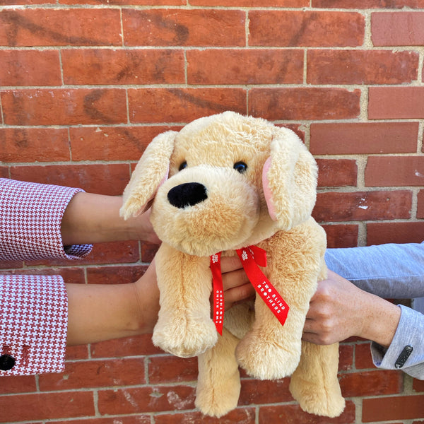 Two Blind Brothers - Add-on BEACON GUIDE DOG Add On Two-sets-of-hands-holding-yellow-dog-stuffed-animal