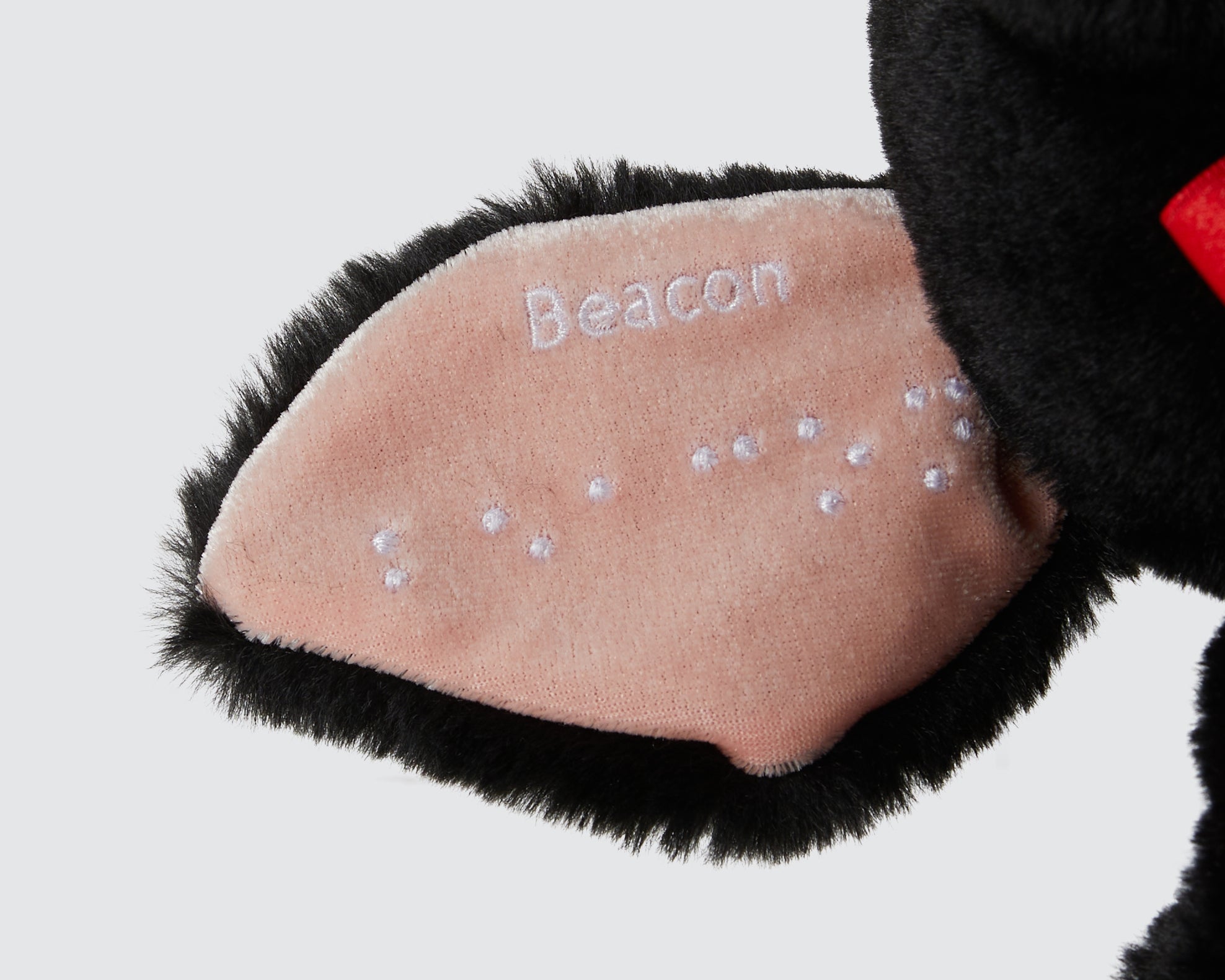 Two Blind Brothers - Guide Dog BEACON Pink-ear-with-white-embroidered-writing-in-braille
