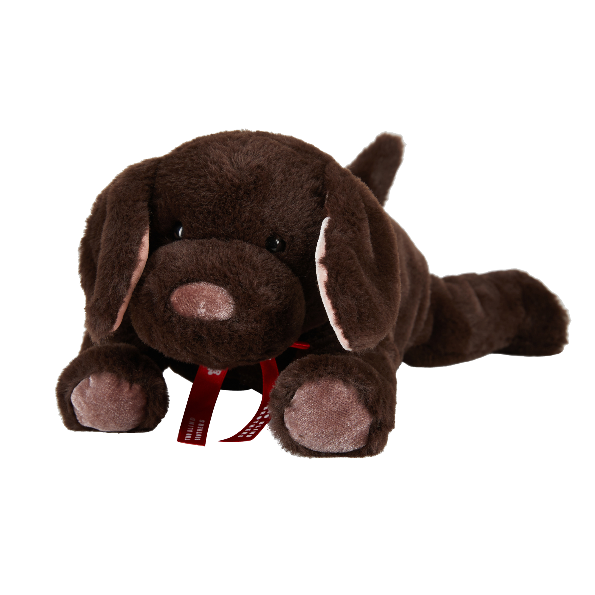 Two Blind Brothers - Guide Dog BRAILLE Brown-dog-stuffed-animal-laying-down