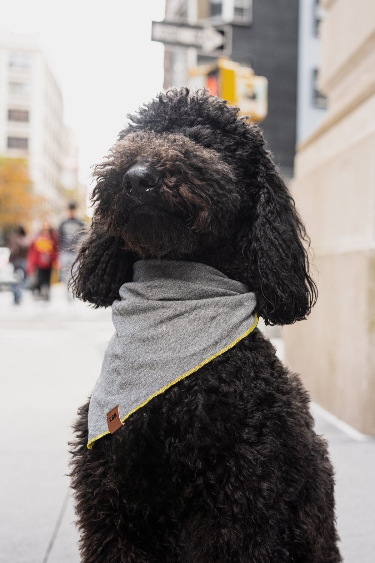 Two Blind Brothers - Gift Dog Bandana Medium-Grey-Heather