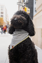 Dog Bandana