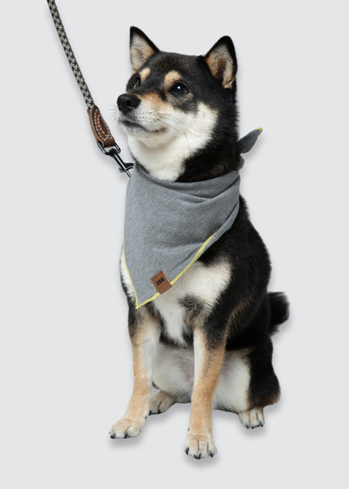 Dog Bandana