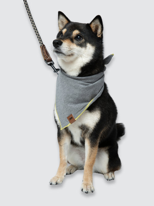 Dog Bandana in Medium Grey Heather