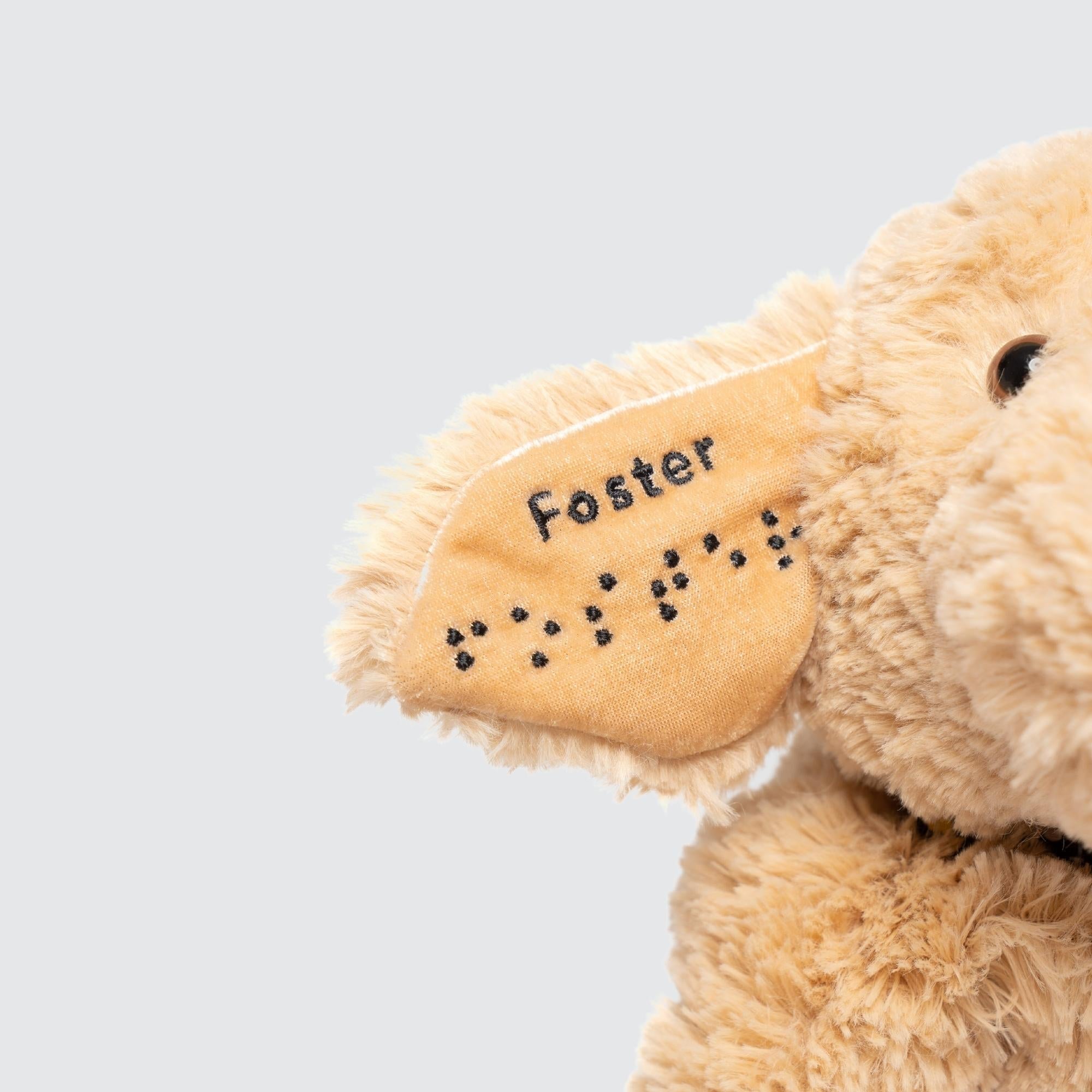 Two Blind Brothers - Guide Dog FOSTER Hover