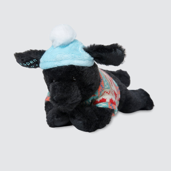 Two Blind Brothers - Guide Dog ASPEN ASPEN