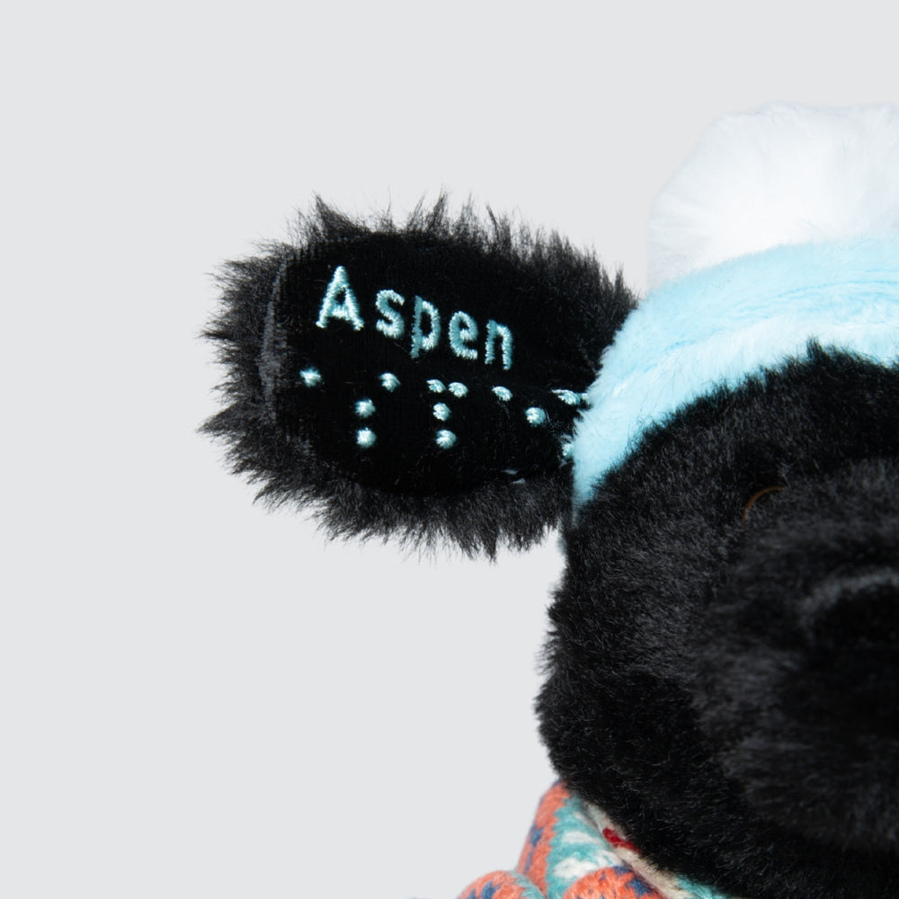 Two Blind Brothers - Guide Dog ASPEN ASPEN