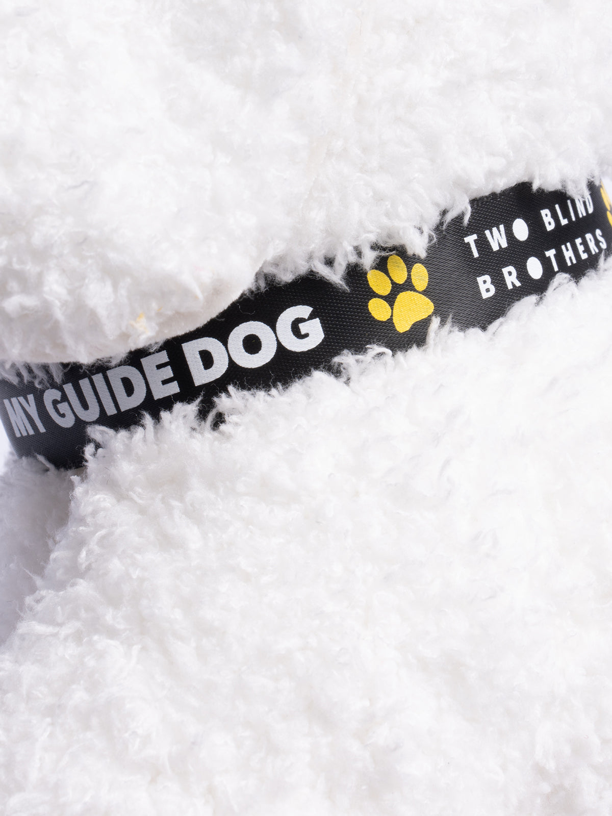 Two Blind Brothers - Guide Dog CLOUD White-Poodle-Cloud