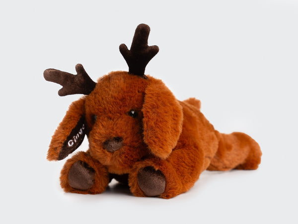 Two Blind Brothers - Guide Dog GINGER Brown-Labrador