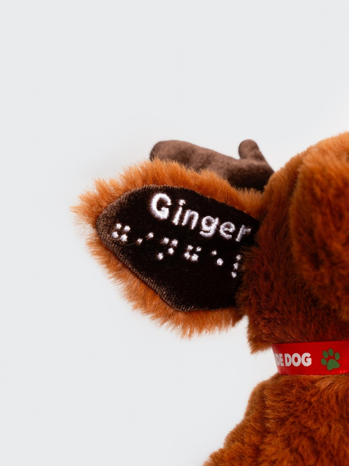 Two Blind Brothers - Guide Dog GINGER Brown-Labrador