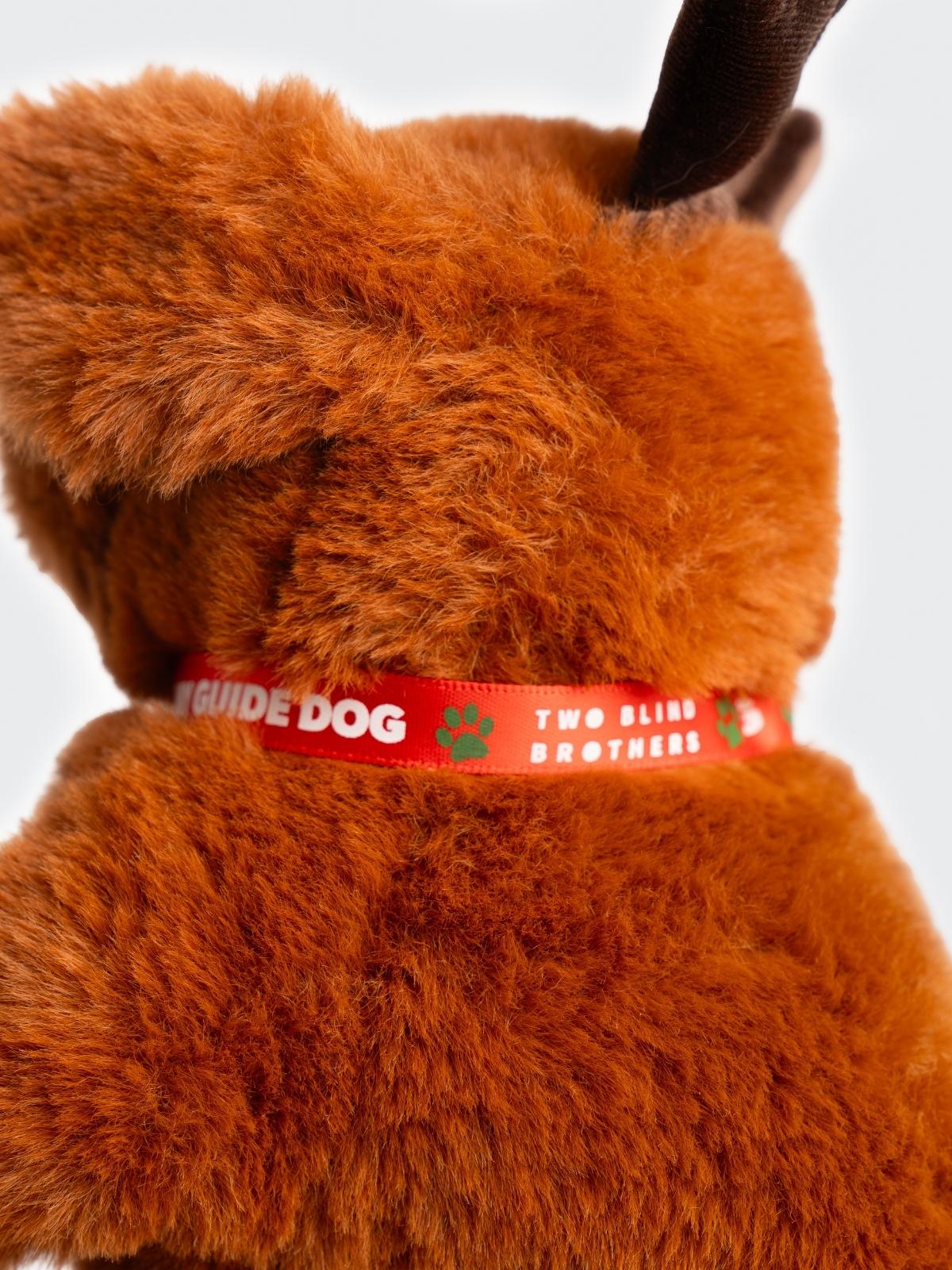 Two Blind Brothers - Guide Dog GINGER Brown-Labrador