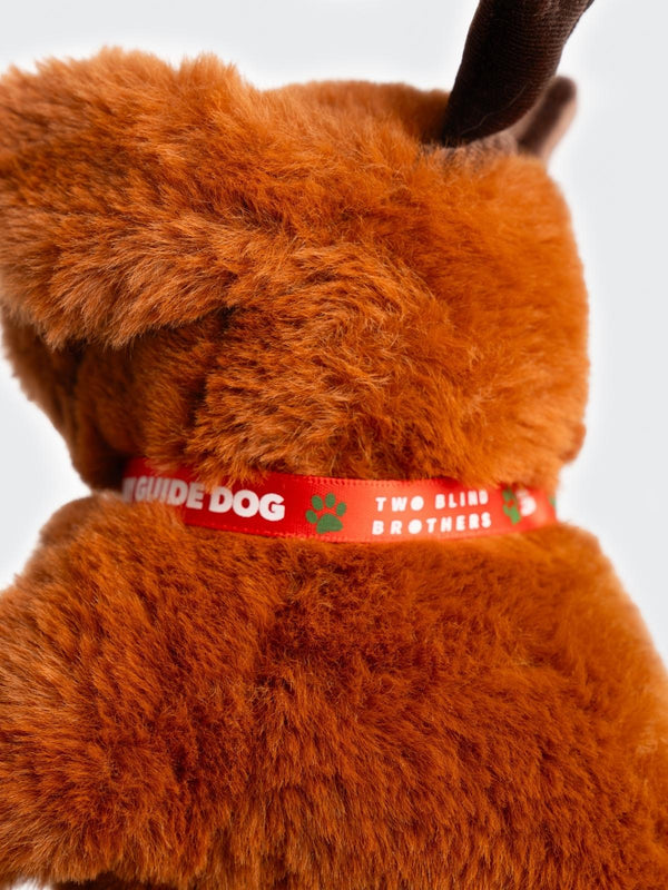 Two Blind Brothers - Guide Dog GINGER Brown-Labrador