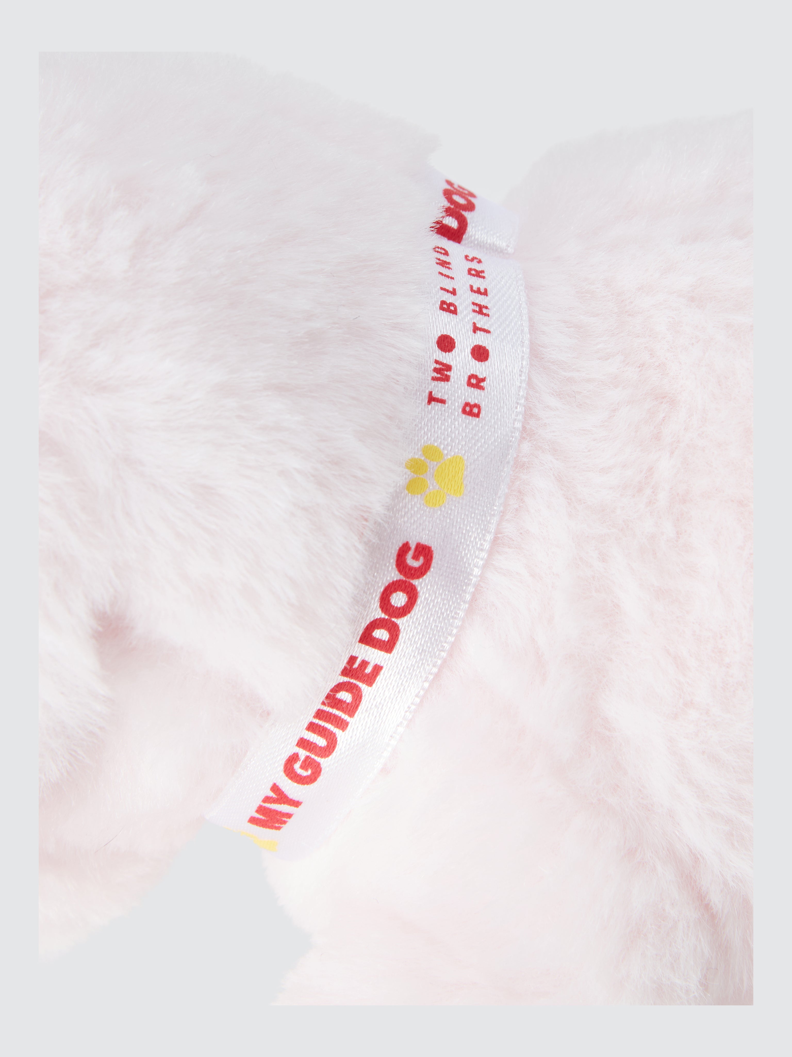 Two Blind Brothers - Guide Dog ROSIE Pink-Labrador