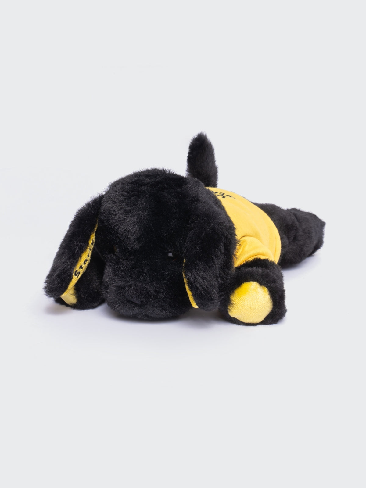 Two Blind Brothers - Guide Dog STARRY Black