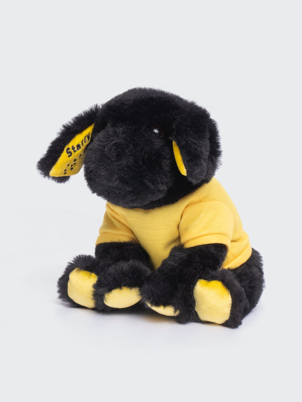 Two Blind Brothers - Guide Dog STARRY Black