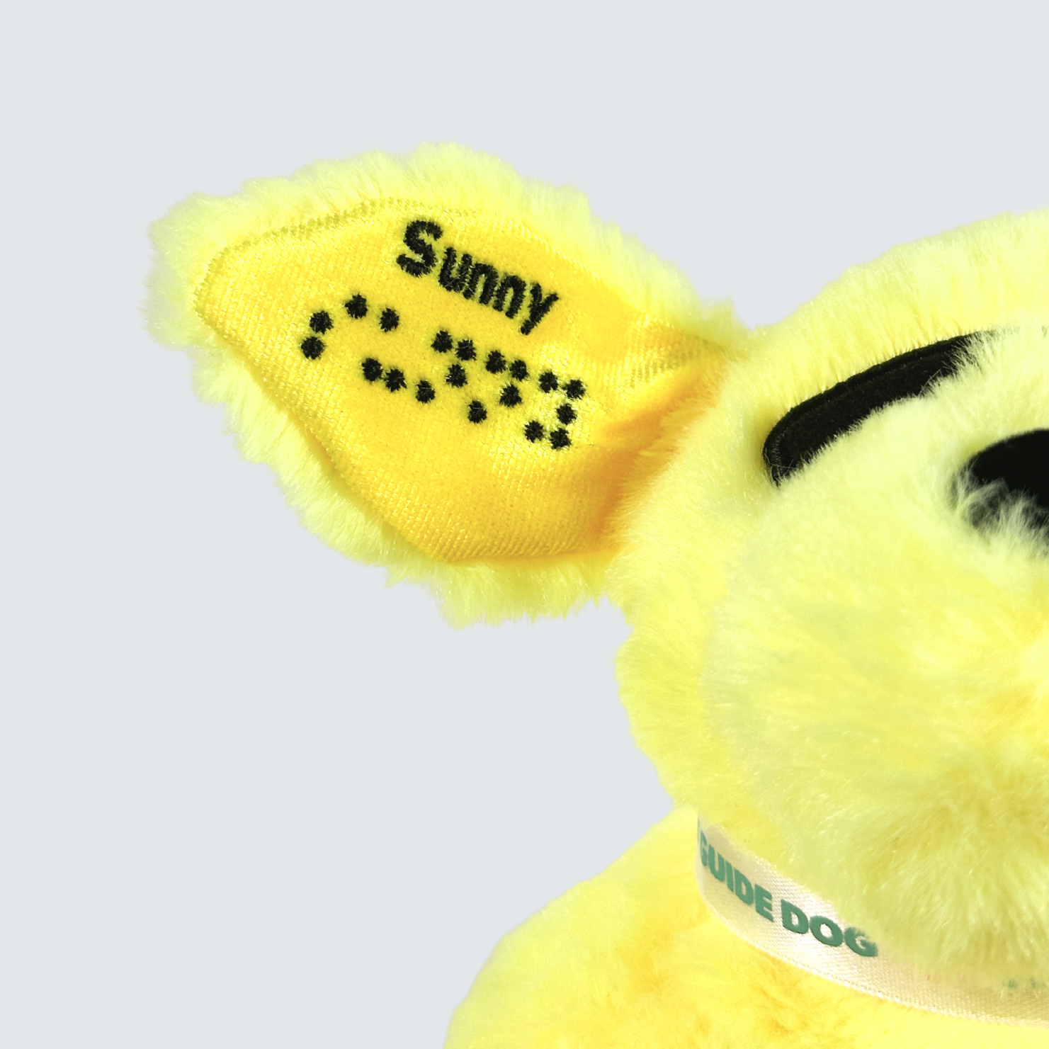 Two Blind Brothers - Guide Dog SUNNY Yellow-Labrador
