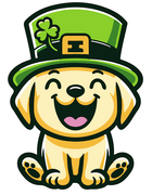 Lucky GUIDER sticker