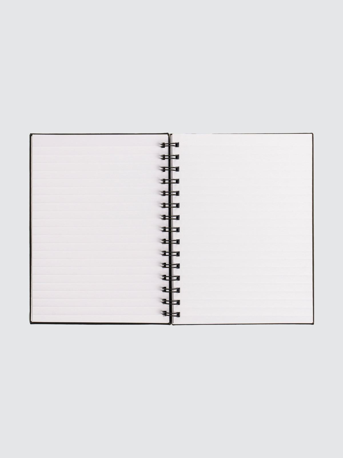 Two Blind Brothers - Gift Spiral Notebook all