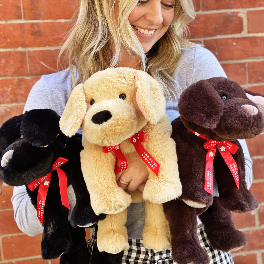 Two Blind Brothers - Guide Dog BEACON Blonde-woman-holding-black-tote-bag-with-yellow,-black,-and-brown-dog-stuffed-animals-inside