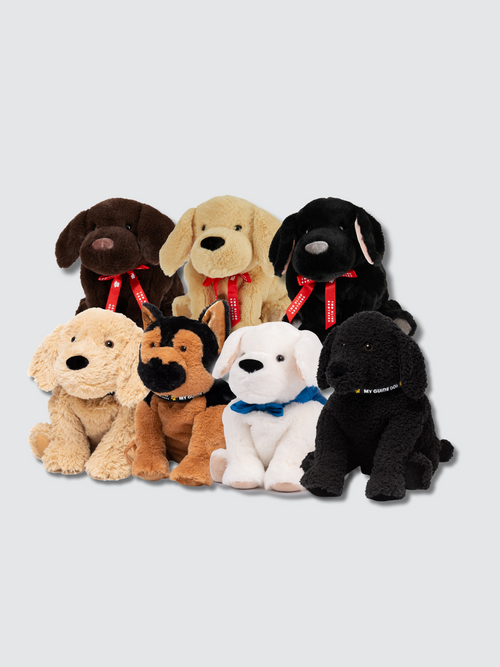 THE ENTIRE BUNDLE in Default Title