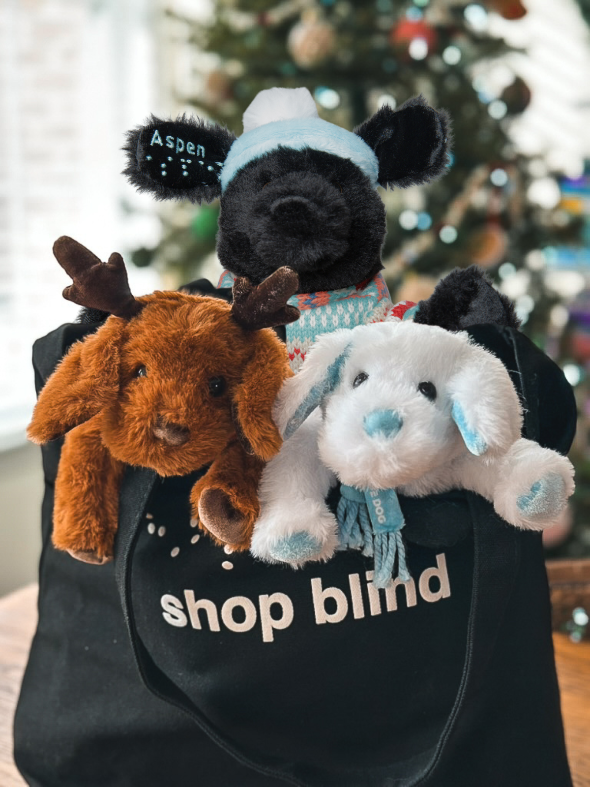 Two Blind Brothers - Guide Dog Holiday Mini Bundle all