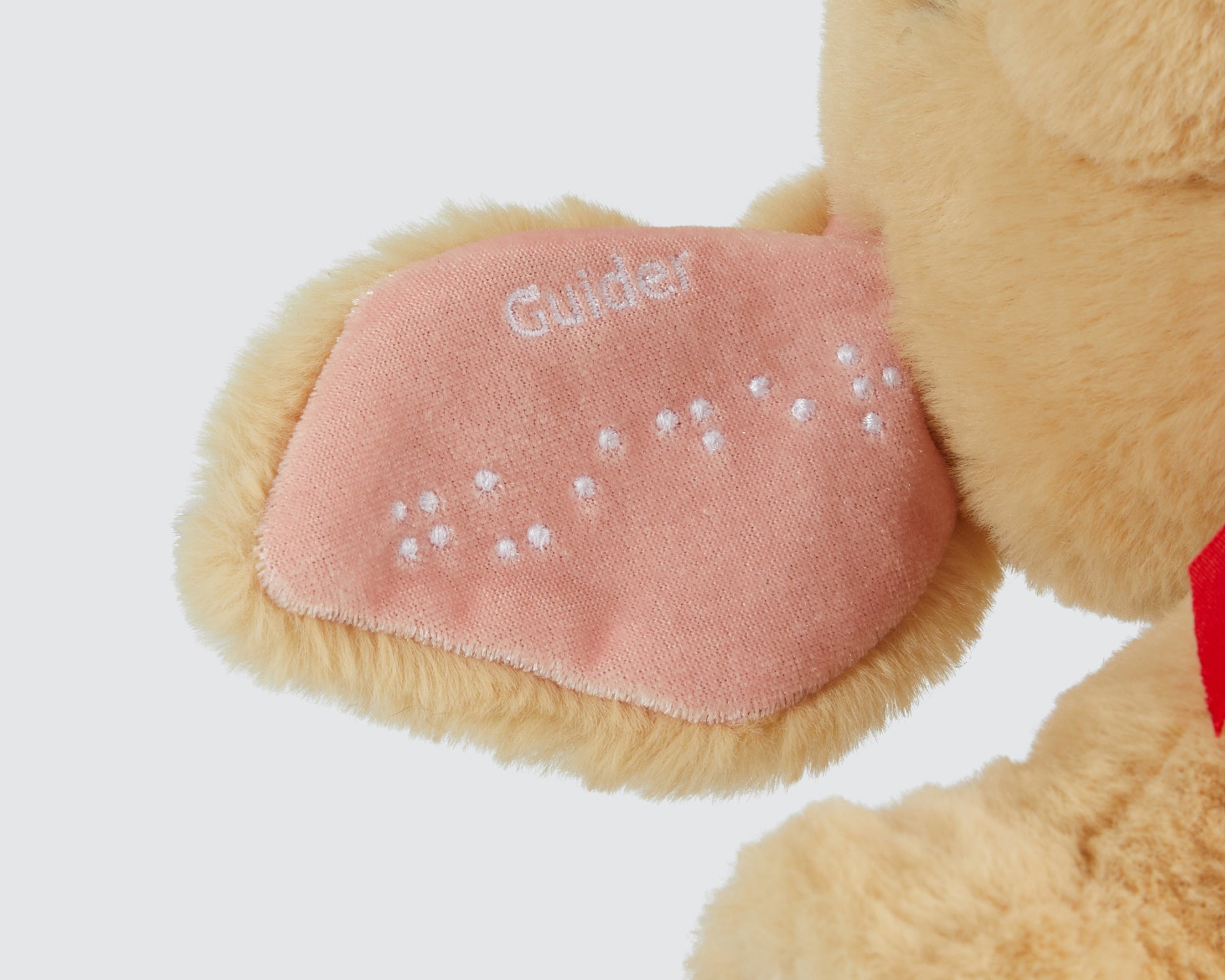 Two Blind Brothers - Guide Dog GUIDER Dog's-pink-ear-with-white-embroidered-name-in-braille