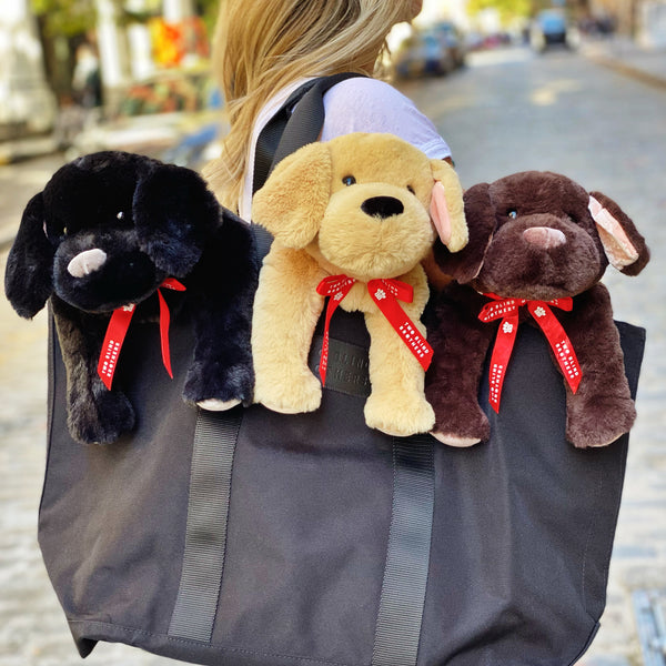 Two Blind Brothers - Guide Dog GUIDER Blonde-woman-holding-black-tote-bag-with-yellow,-black,-and-brown-dog-stuffed-animals-inside