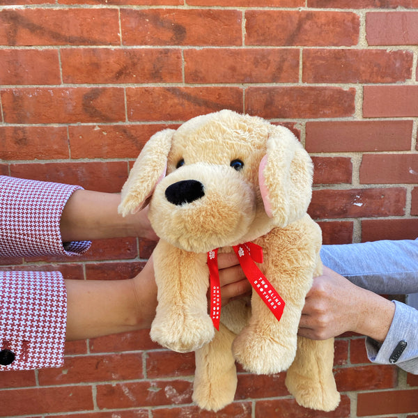 Two Blind Brothers - Guide Dog GUIDER Two-sets-of-hands-holding-yellow-dog-stuffed-animal