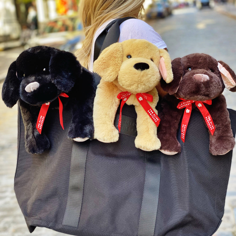 Two Blind Brothers - Guide Dog BRAILLE Blonde-woman-holding-black-tote-bag-with-yellow,-black,-and-brown-dog-stuffed-animals-inside